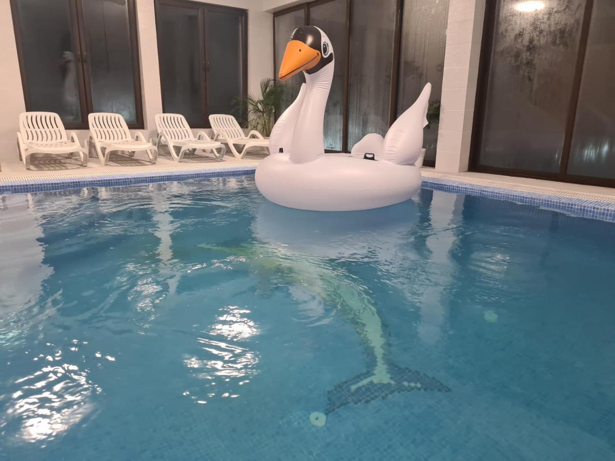 Pensiunea Gold Wellness&Spa Chiscau Eksteriør bilde