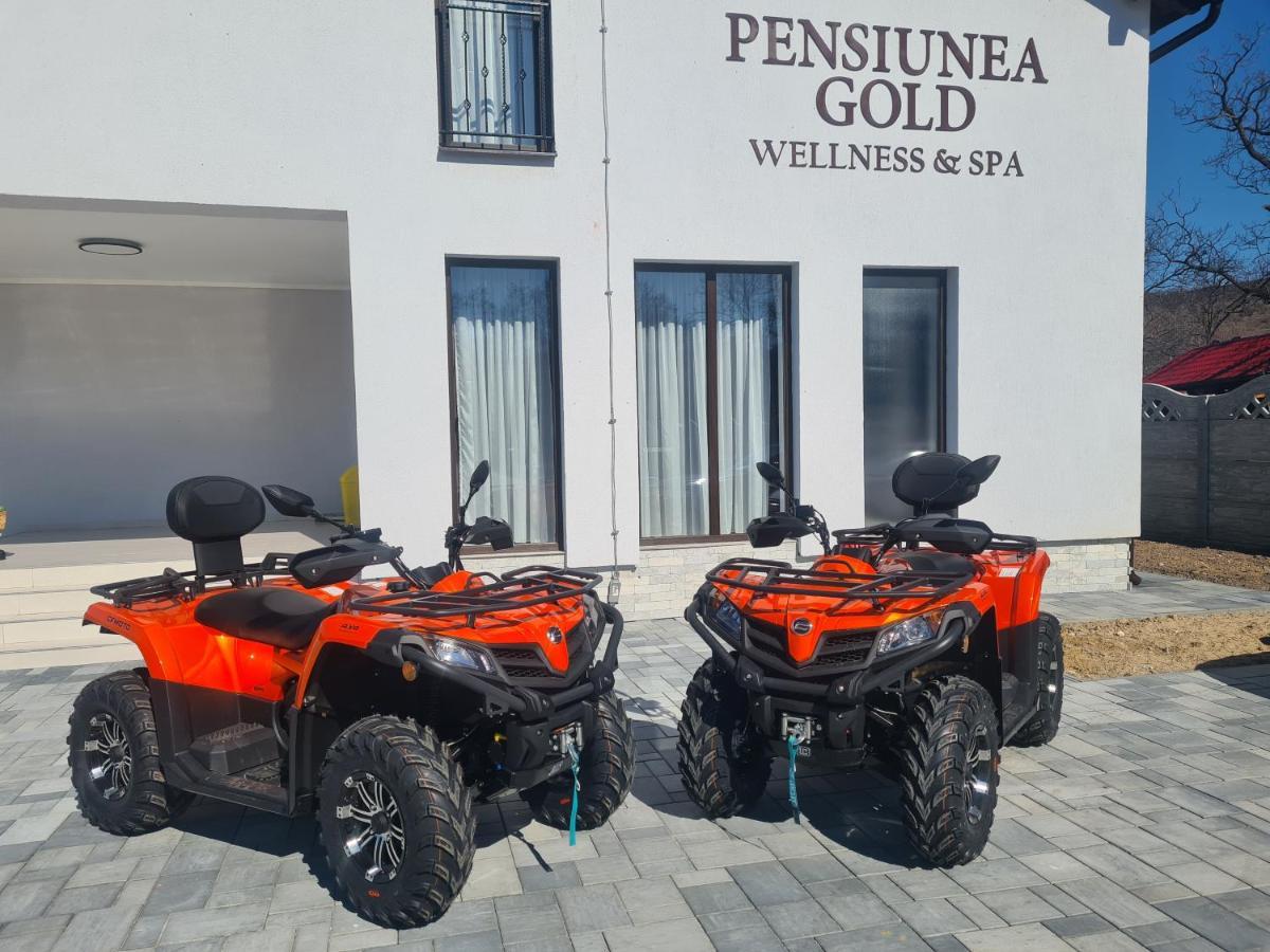 Pensiunea Gold Wellness&Spa Chiscau Eksteriør bilde